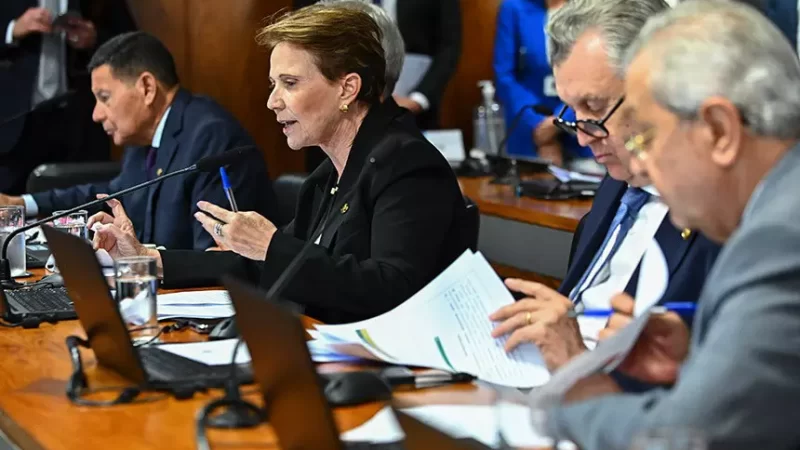 Relatado por Tereza Cristina, marco do licenciamento ambiental deve ser votado neste mês no Senado