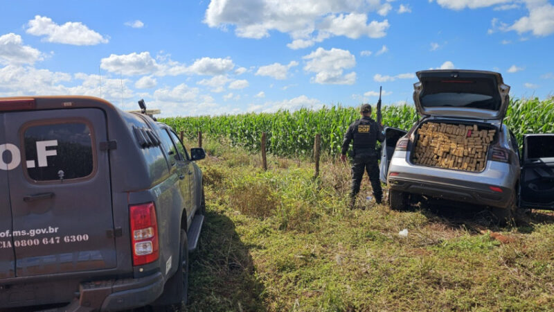 Veículo furtado em Pernambuco é apreendido com uma tonelada de drogas