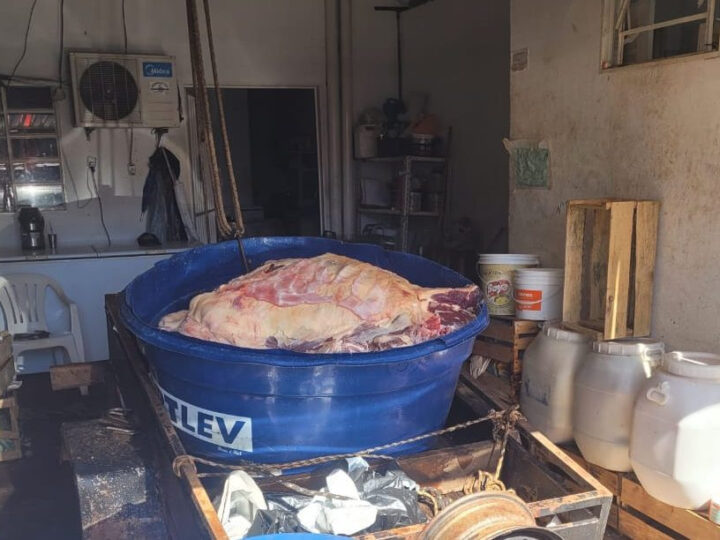 Polícia Civil e Iagro apreendem quase 2t de carnes impróprias para consumo