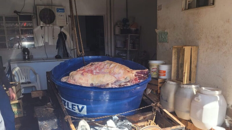 Polícia Civil e Iagro apreendem quase 2t de carnes impróprias para consumo