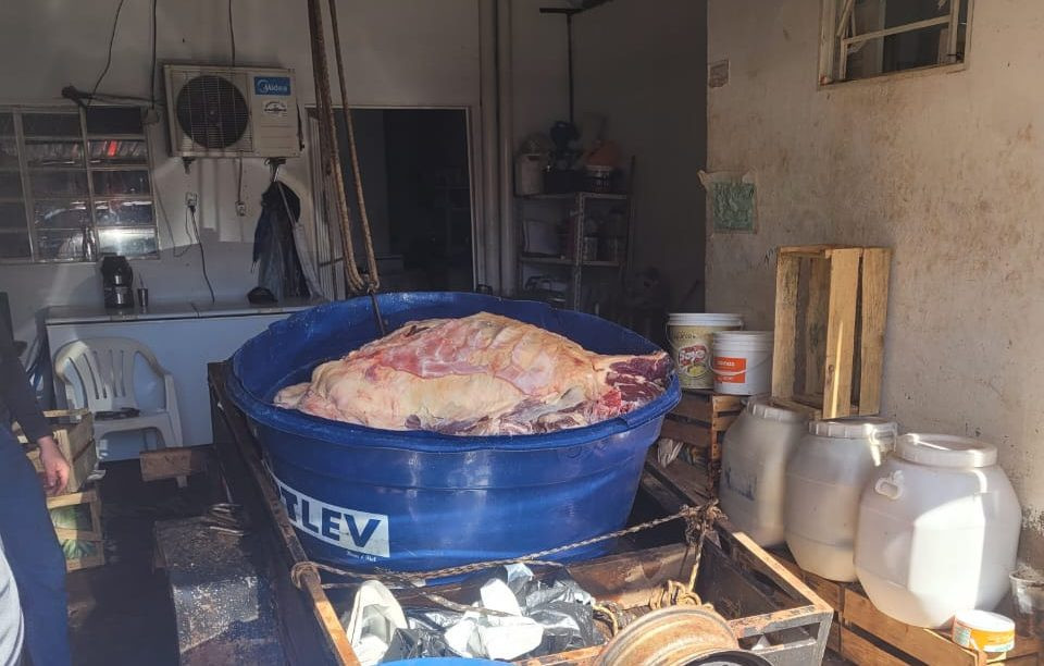 Polícia Civil e Iagro apreendem quase 2t de carnes impróprias para consumo