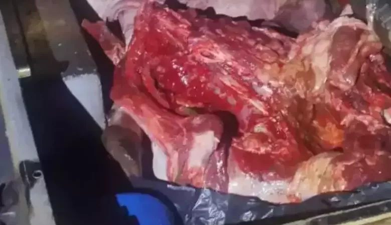 Suspeitos de furto de gado morrem em confronto com a polícia