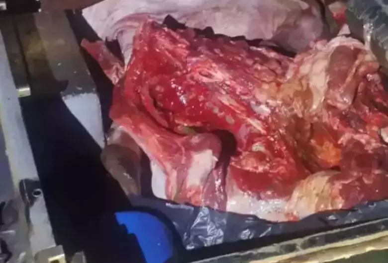 Suspeitos de furto de gado morrem em confronto com a polícia