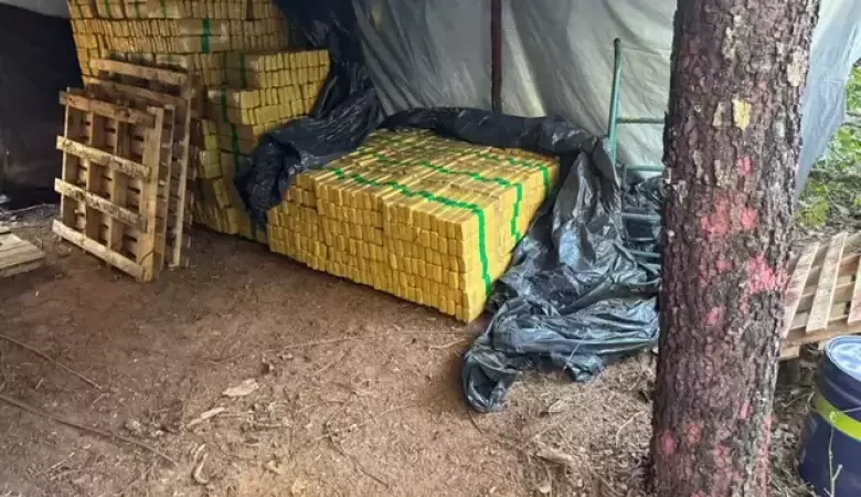 Operação fecha acampamento ilegal com 8 toneladas de maconha