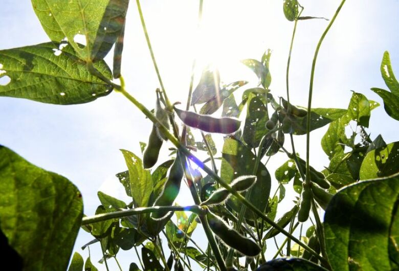 MS terá rede de meteorologia com 70 estações