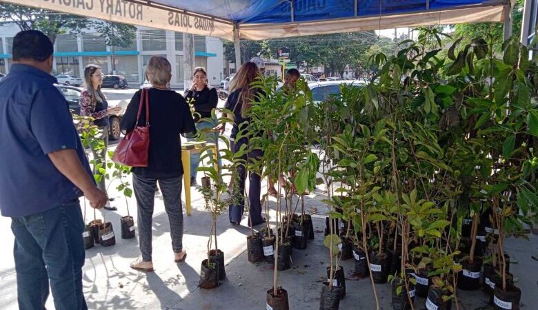 Encontro vai debater sustentabilidade e consciência ambiental em Dourados
