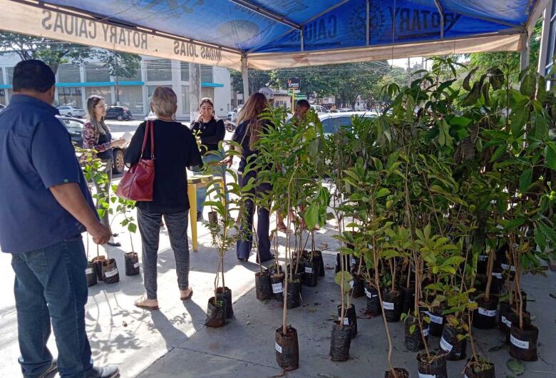 Encontro vai debater sustentabilidade e consciência ambiental em Dourados