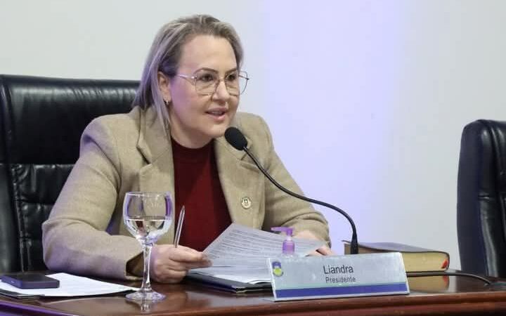 LIANDRA DA SAÚDE SOLICITA PATROLAMENTO E CASCALHAMENTO PARA RUAS DO BAIRRO BONANZA