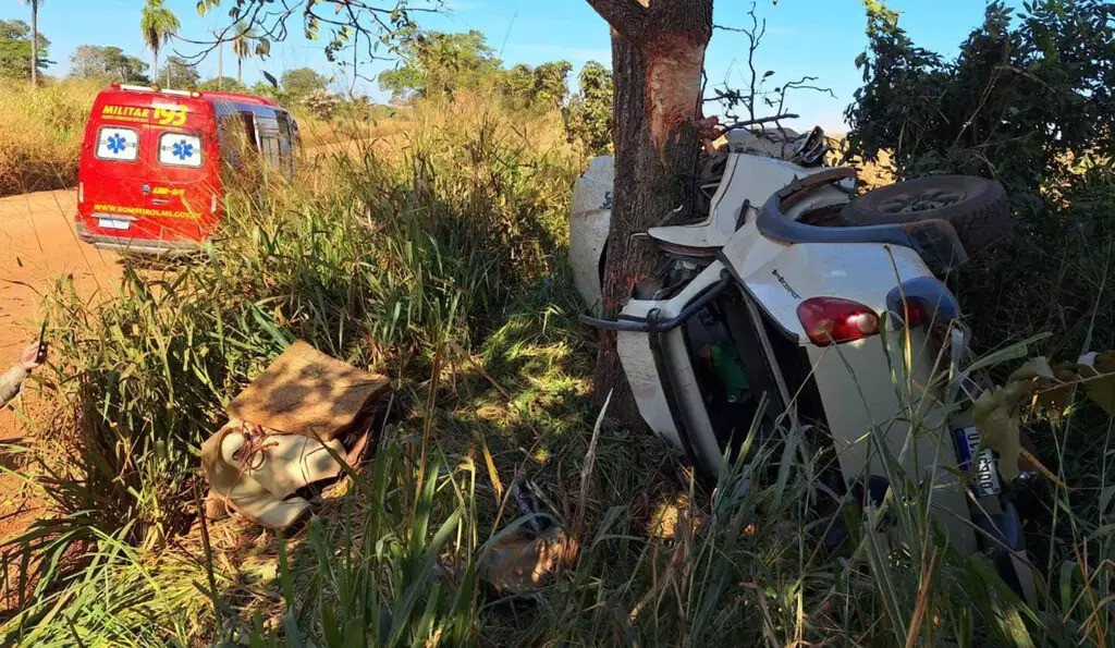 Caminhonete bate em árvore e quatro trabalhadores rurais morrem em MS