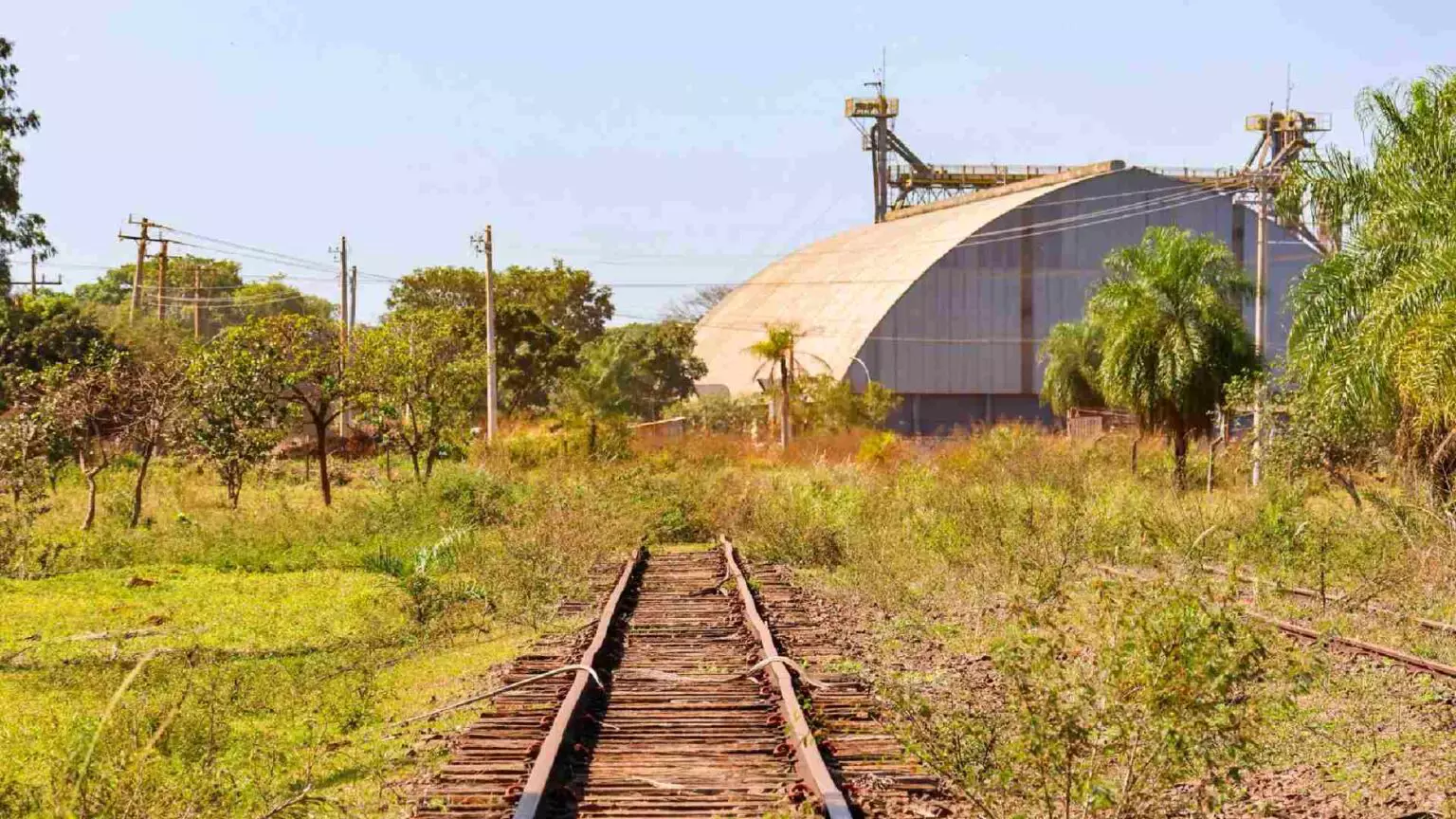 Há anos esquecidas, ferrovias trilham caminho para novo ciclo logístico em MS