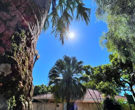 Dourados enfrenta mais um dia seco e com possibilidade da umidade chegar a 20%