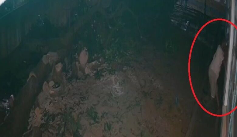 Homem com perna amputada pula muro e furta televisão de creche; veja vídeo