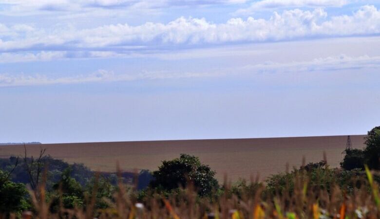 Conab estima nova safra recorde com produção de 339,6 milhões de toneladas