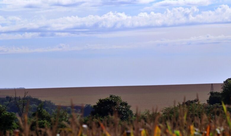 Conab estima nova safra recorde com produção de 339,6 milhões de toneladas