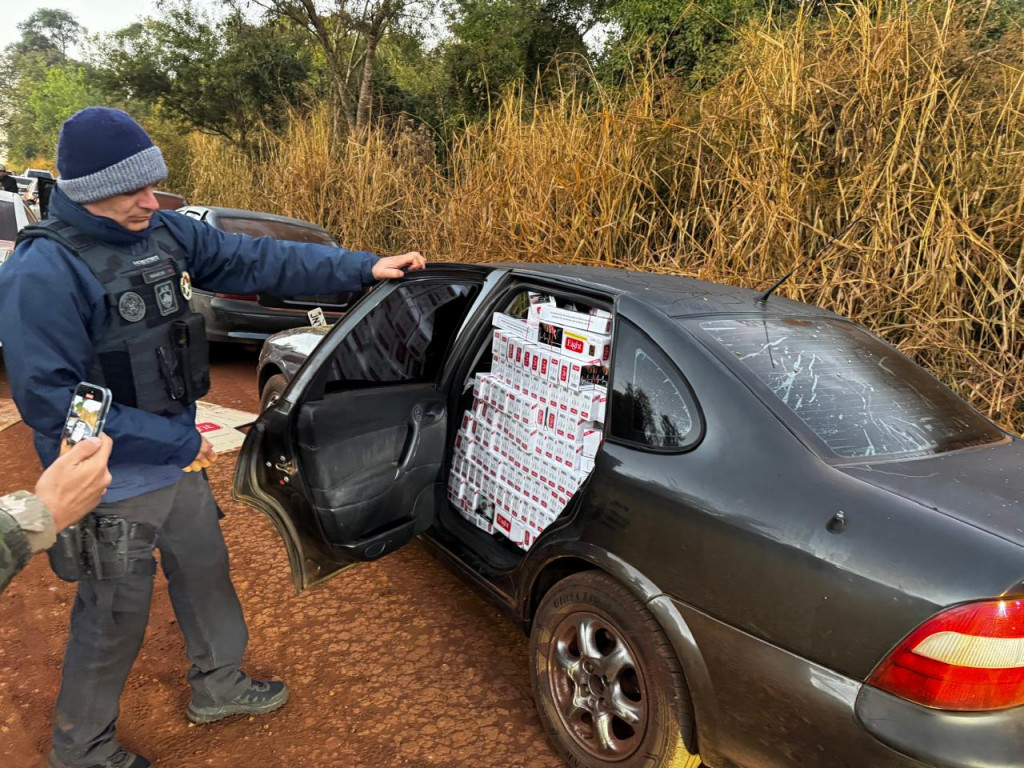 Ação conjunta da Receita Federal apreende R$ 26 mi em mercadorias e veículos