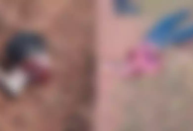 Jovem de 20 anos é decapitado e tem órgãos retirados do corpo