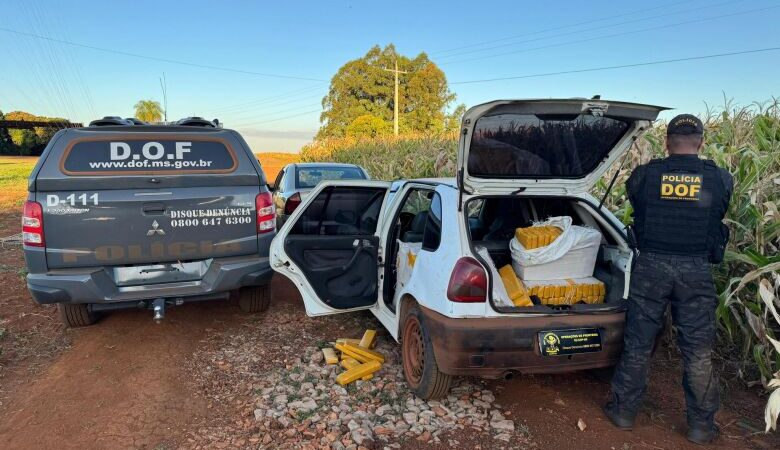 Foragido é recapturado com mais de 300 quilos de maconha