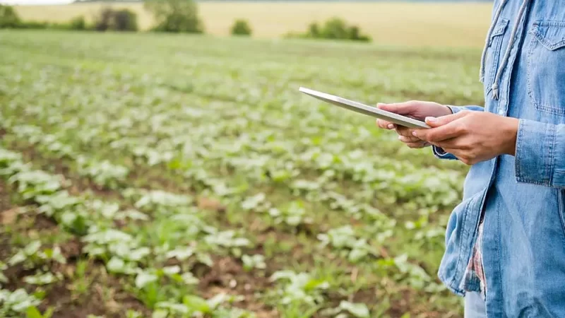 Fundação MS lança plataforma gratuita de pesquisa agrícola com mais de 800 trabalhos