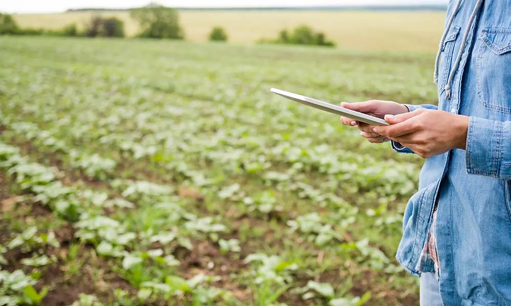 Fundação MS lança plataforma gratuita de pesquisa agrícola com mais de 800 trabalhos