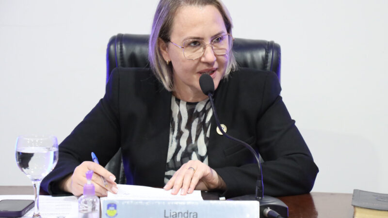 Liandra solicita melhorias na iluminação dos trevos da BR-463