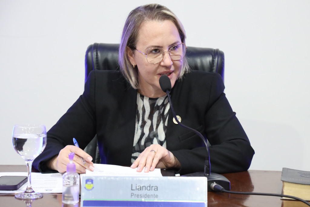 Liandra solicita melhorias na iluminação dos trevos da BR-463
