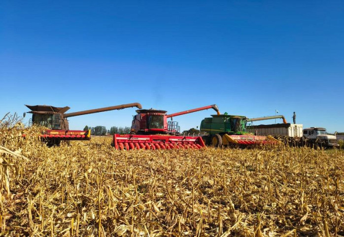 Colheita do milho em MS alcança 66,8%; ritmo segue abaixo da safra passada