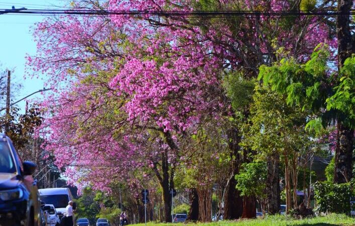 Tempo seco predomina em Dourados e Inmet emite alerta de ‘perigo’ para baixa umidade