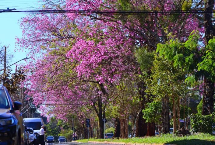 Tempo seco predomina em Dourados e Inmet emite alerta de ‘perigo’ para baixa umidade
