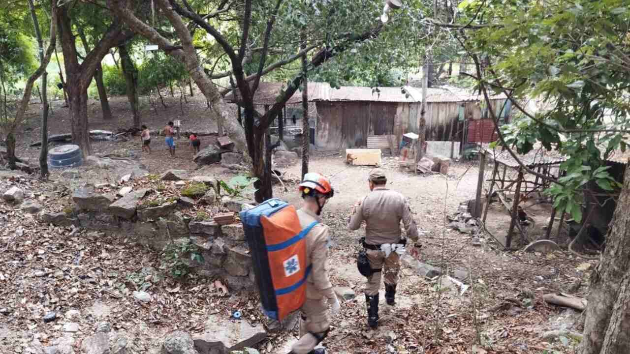 Onça ataca homem que tentava defender o cachorro em bairro de Corumbá