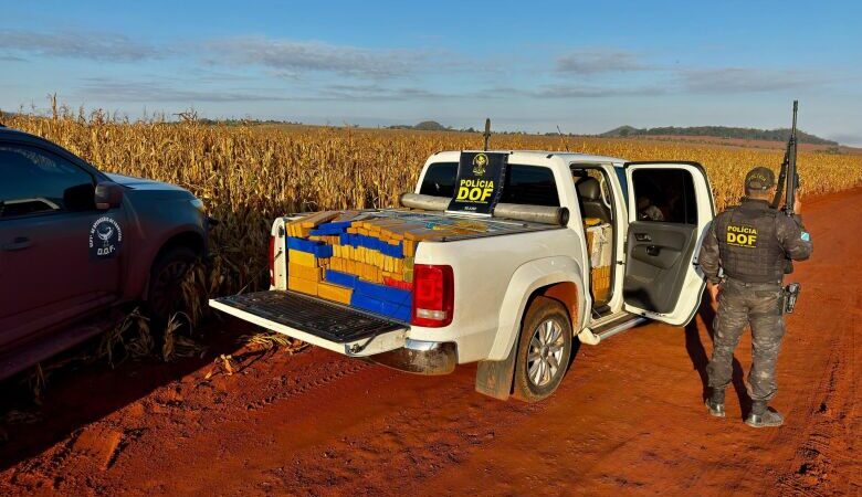 Após perseguição, traficante abandona caminhonete com 1,3t de maconha em milharal