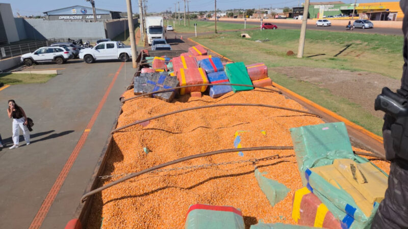 Caminhoneiro é preso pelo DOF com grande quantidade de maconha