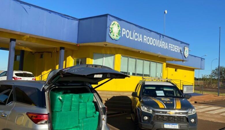 Dono de ‘roça de maconha’ é preso tentando levar droga para São Paulo