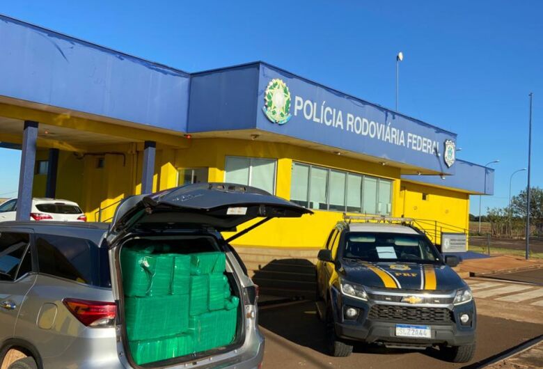 Dono de ‘roça de maconha’ é preso tentando levar droga para São Paulo