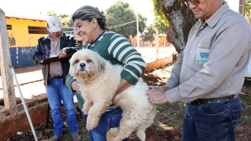 Prefeitura segue com vacinação antirrábica itinerante em setembro