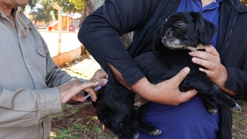 Mobilização continua e Prefeitura leva vacinação antirrábica a vários bairros