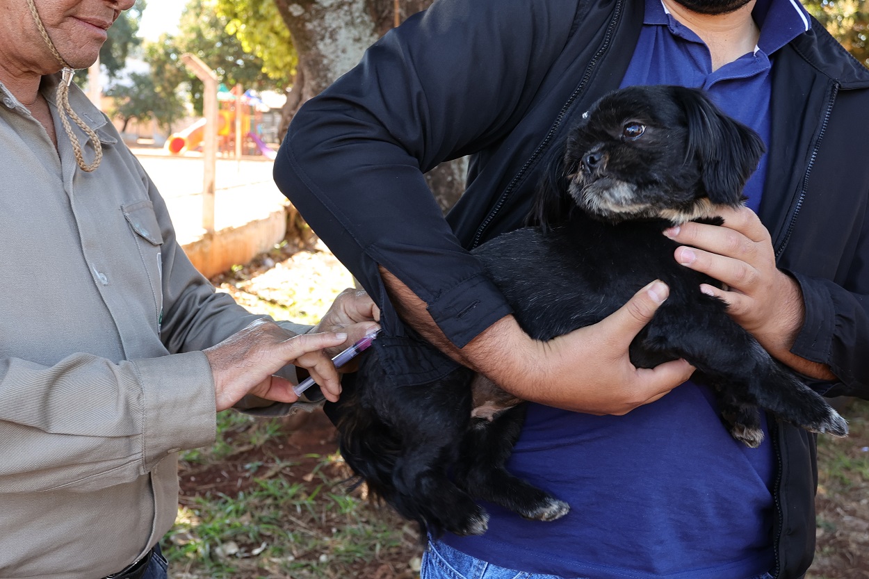 Mobilização continua e Prefeitura leva vacinação antirrábica a vários bairros