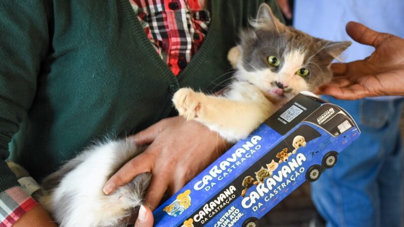 Prefeitura e Estado realizam Caravana da Castração para 1.500 cães e gatos