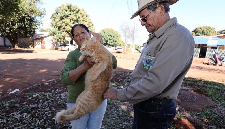 Dourados terá drive-thru no sábado para vacinação antirrábica