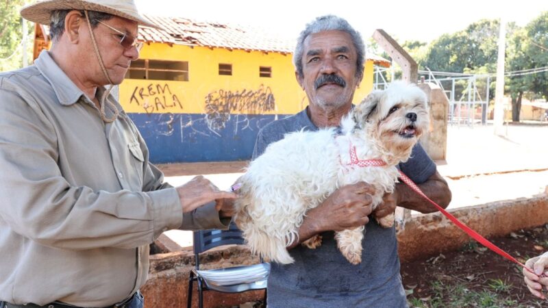 Prefeitura leva vacina antirrábica para animais sob cuidados em Ong’s e de protetores