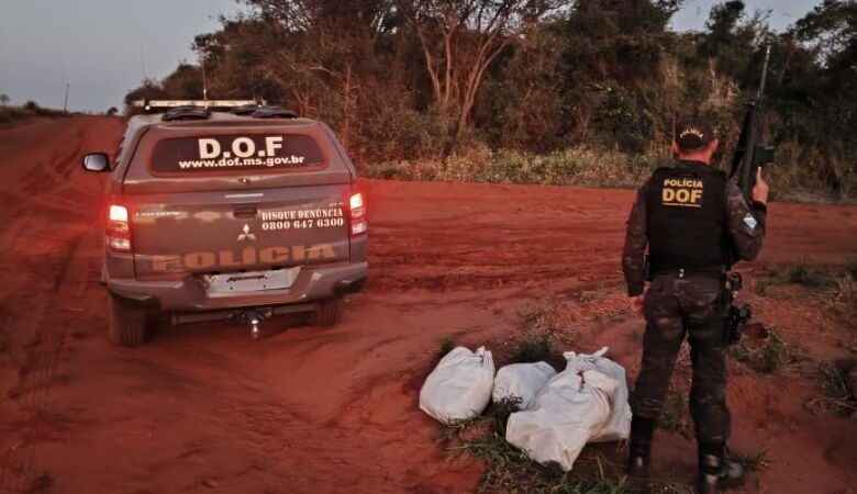 Polícia apreende quase 20 quilos de skunk transportados em moto