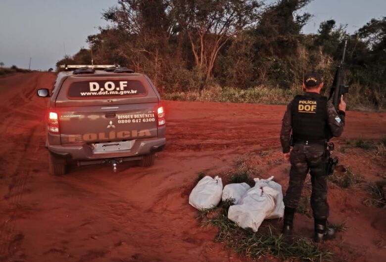 Polícia apreende quase 20 quilos de skunk transportados em moto