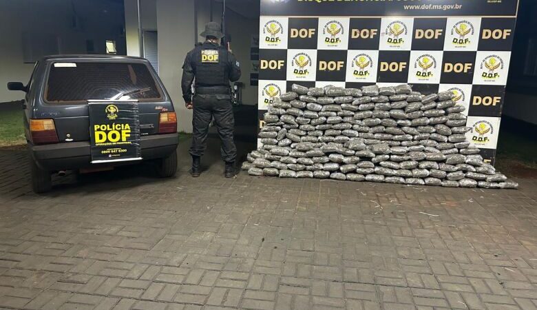 Polícia fecha entreposto com mais de 200kg de skunk e prende homem no Canaã I