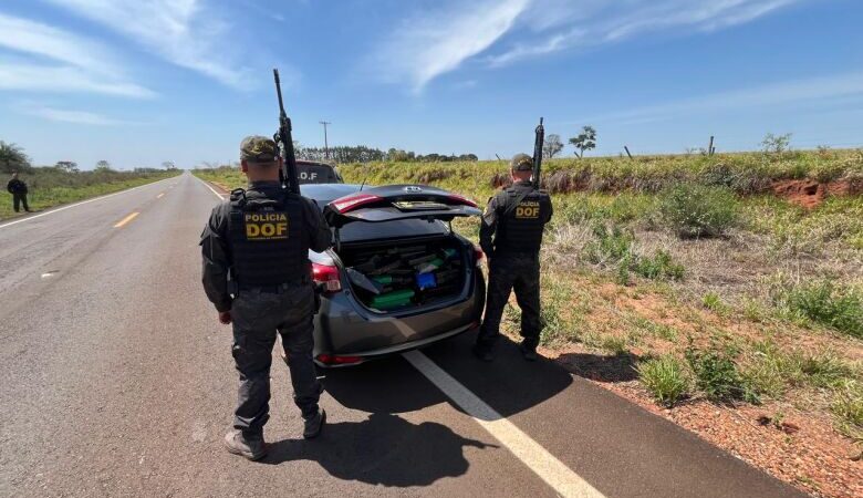 Carga de R$ 1,4 milhão em drogas é apreendida na MS-180