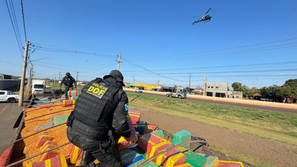 Em 8 meses, DOF aumenta em 62% as apreensões de drogas, aponta balanço