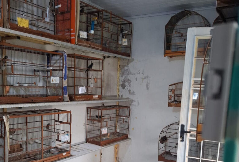 Operação nacional em combate a crimes ambientais realiza ações em 4 cidades de MS