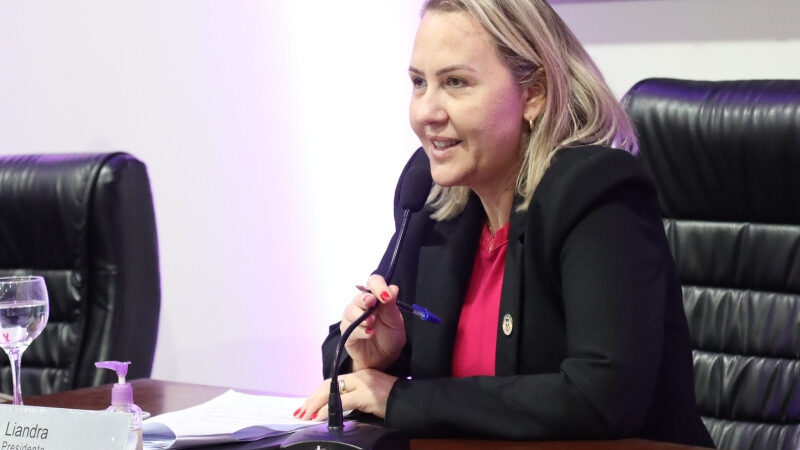 Liandra reforça pedidos por melhorias na infraestrutura e segurança no trânsito de Dourados