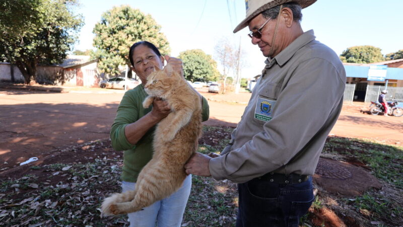 Prefeitura leva vacinação antirrábica para distritos de Dourados nesta semana