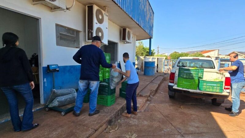 Prefeitura já distribuiu mais de 10 toneladas de alimentos por meio do PAA