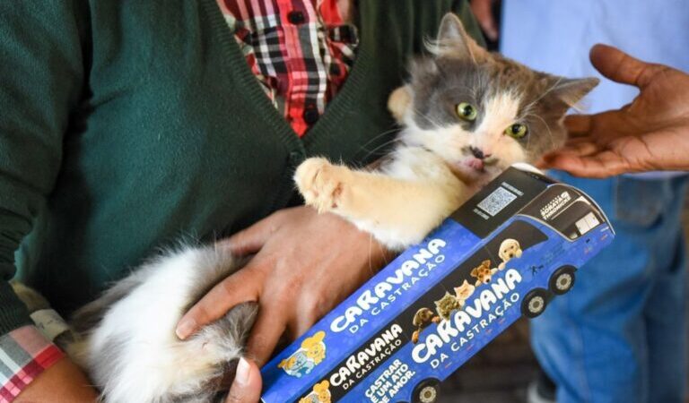 Prefeitura e Estado abrem agendamento da castração dos pets nos dias 1 e 2 de novembro