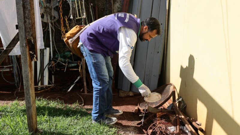 Prefeitura alerta para aumento de casos e dengue e intensifica ações preventivas